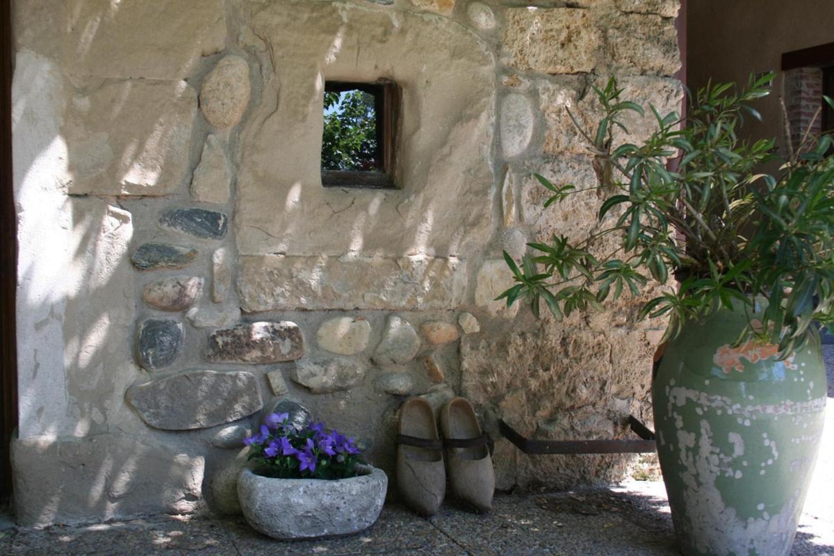 Les Pascals Acomodação com café da manhã Saint-Paul-lès-Romans Exterior foto